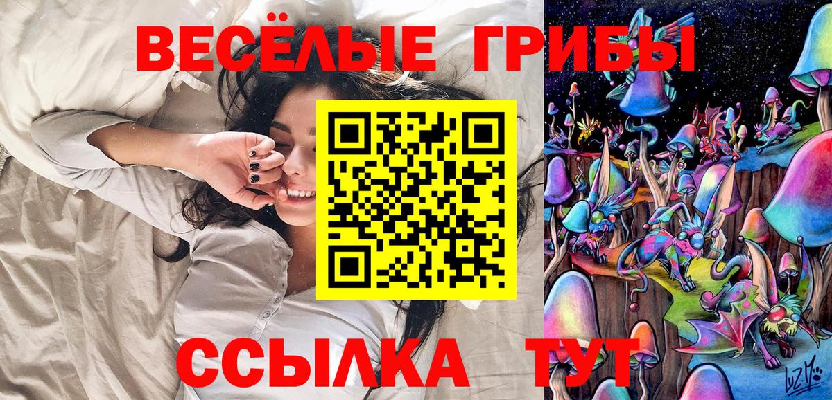 Красногорск  Галлюциногенные грибы мицелий  Псилоцибиновые грибы мухоморы  Вход с VPN 