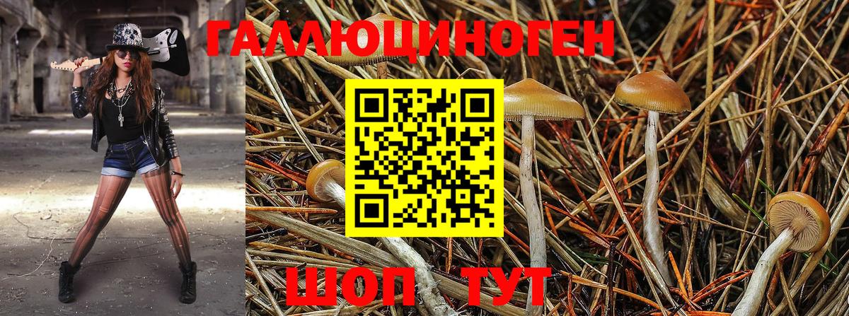 Галлюциногенные грибы GOLDEN TEACHER Красногорск